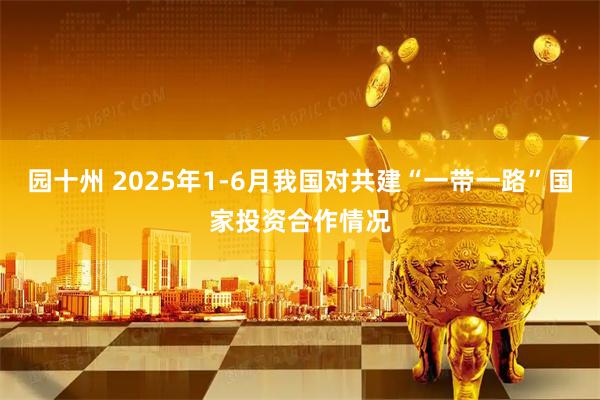 园十州 2025年1-6月我国对共建“一带一路”国家投资合作情况