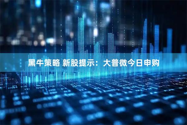 黑牛策略 新股提示：大普微今日申购