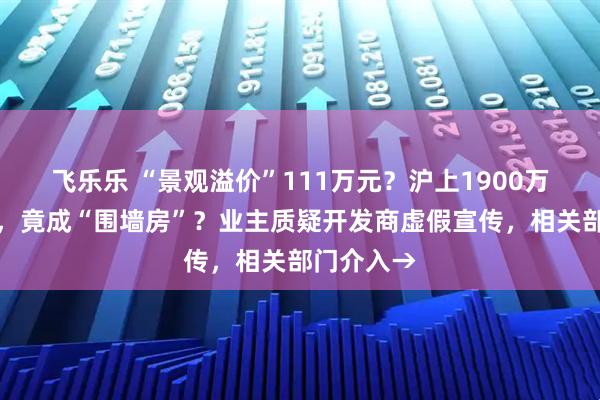 飞乐乐 “景观溢价”111万元?沪上1900万元景观房,竟成“围墙房”?业主质疑开发商虚假宣传,相关部门介入→