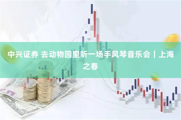 中兴证券 去动物园里听一场手风琴音乐会｜上海之春