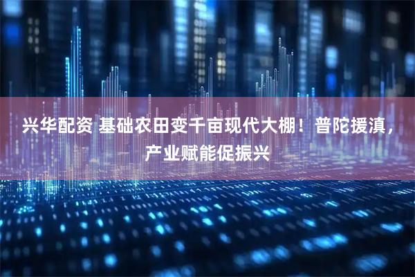 兴华配资 基础农田变千亩现代大棚！普陀援滇，产业赋能促振兴